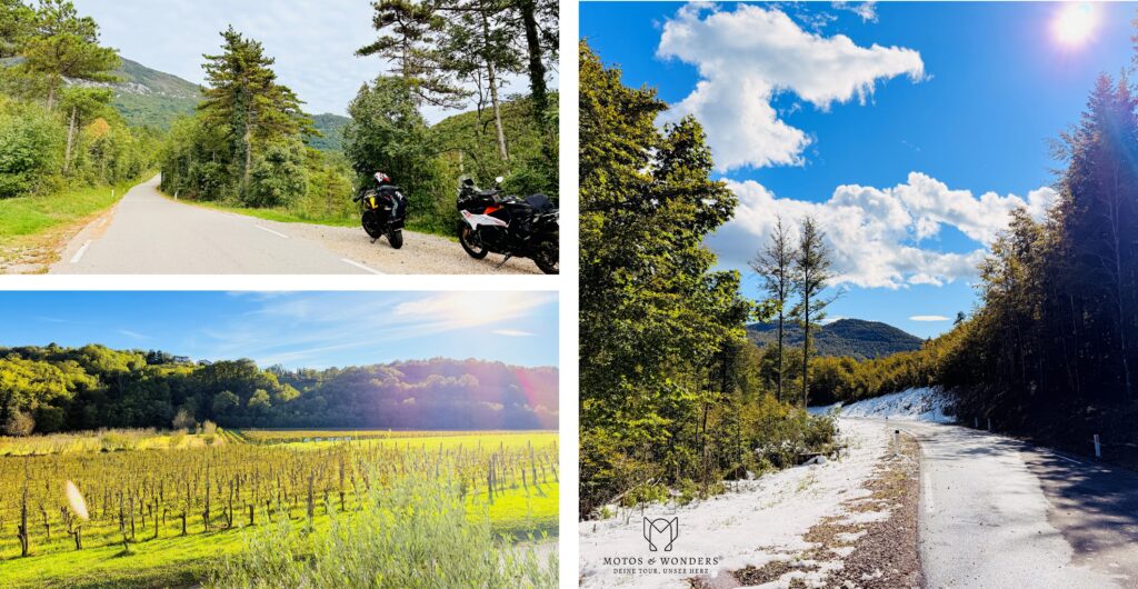 Quiet karst forest road and gentle vineyards in Goriška Brda.