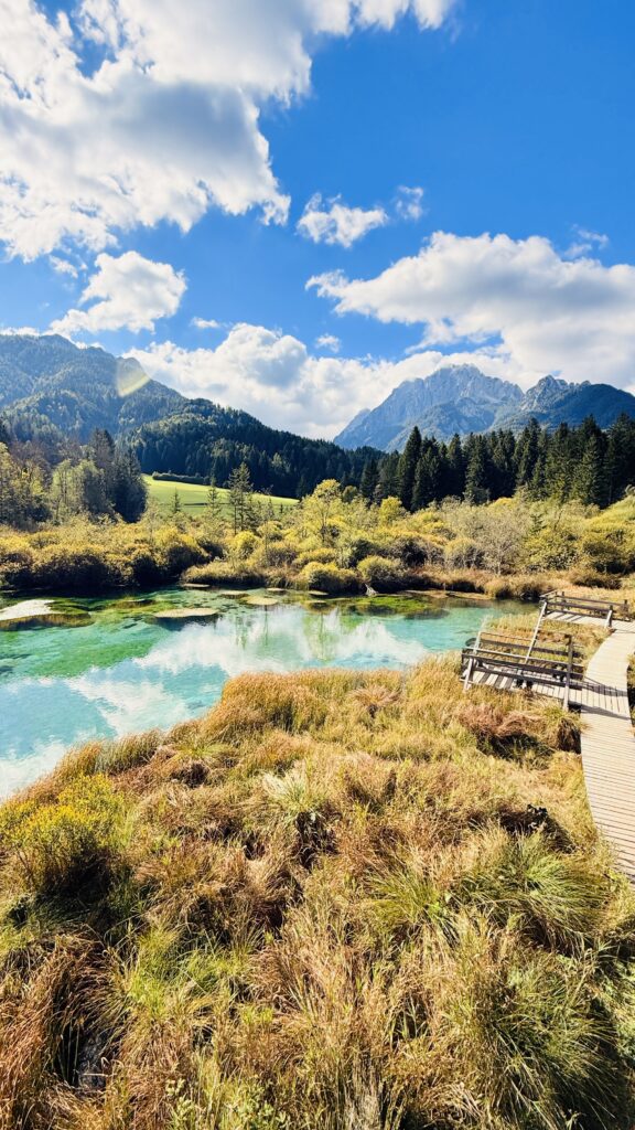 Typical view in Triglav National Park