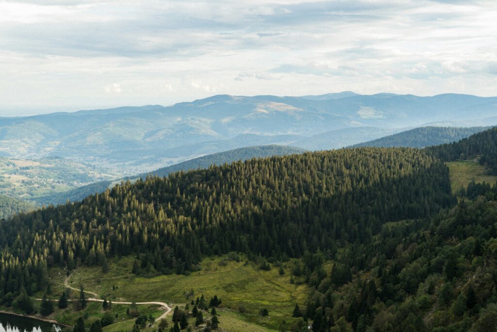 Berglandschaft in den Vogesen auf geführter Motorradtour