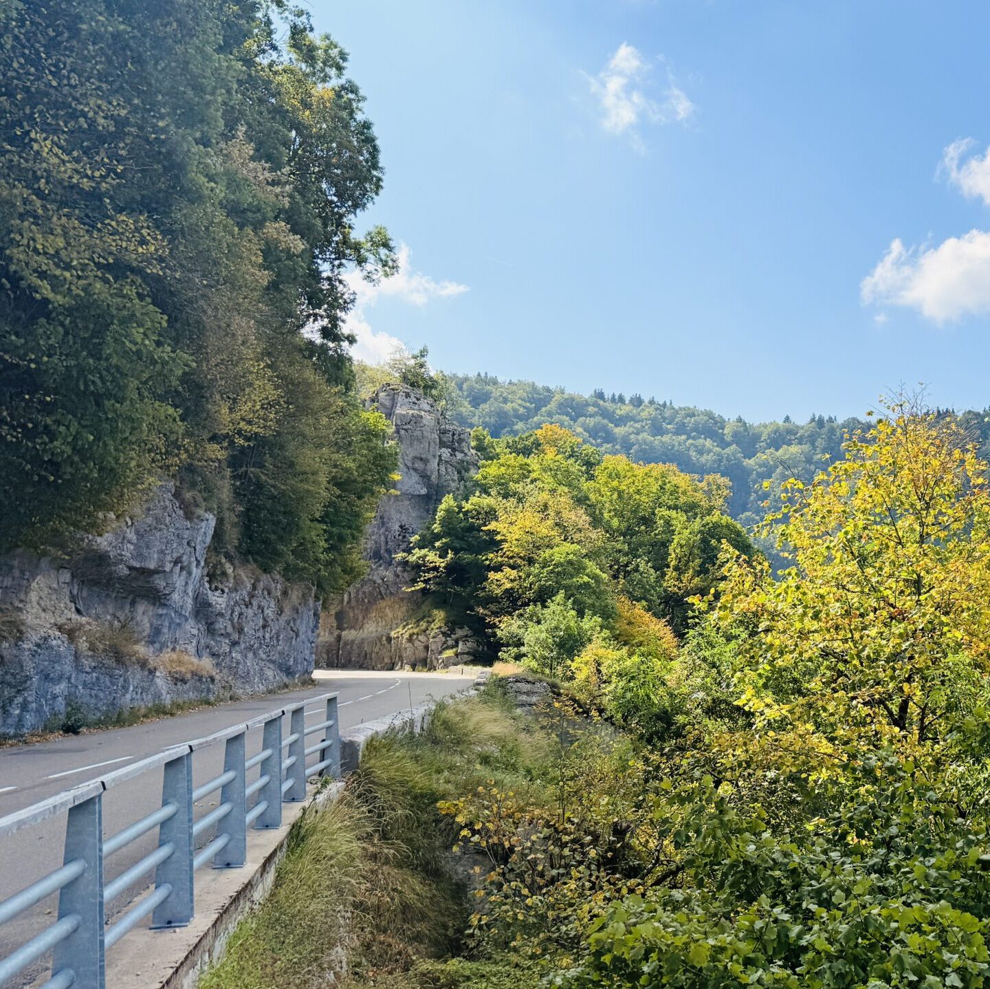 Geführte Motorradtour auf kurviger Strasse durch die Fels- und Waldlandschaft im Jura