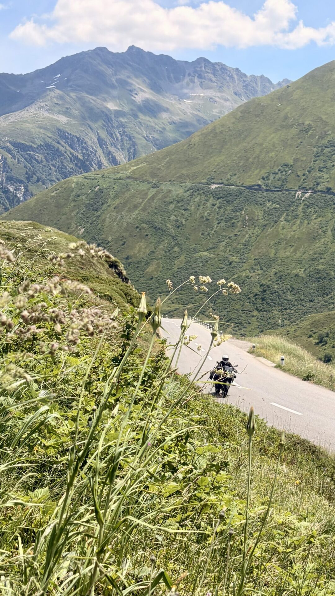 Motorradfahrerin in der Kurve am Oberalppass mit Alpenblumen am Strassenrand