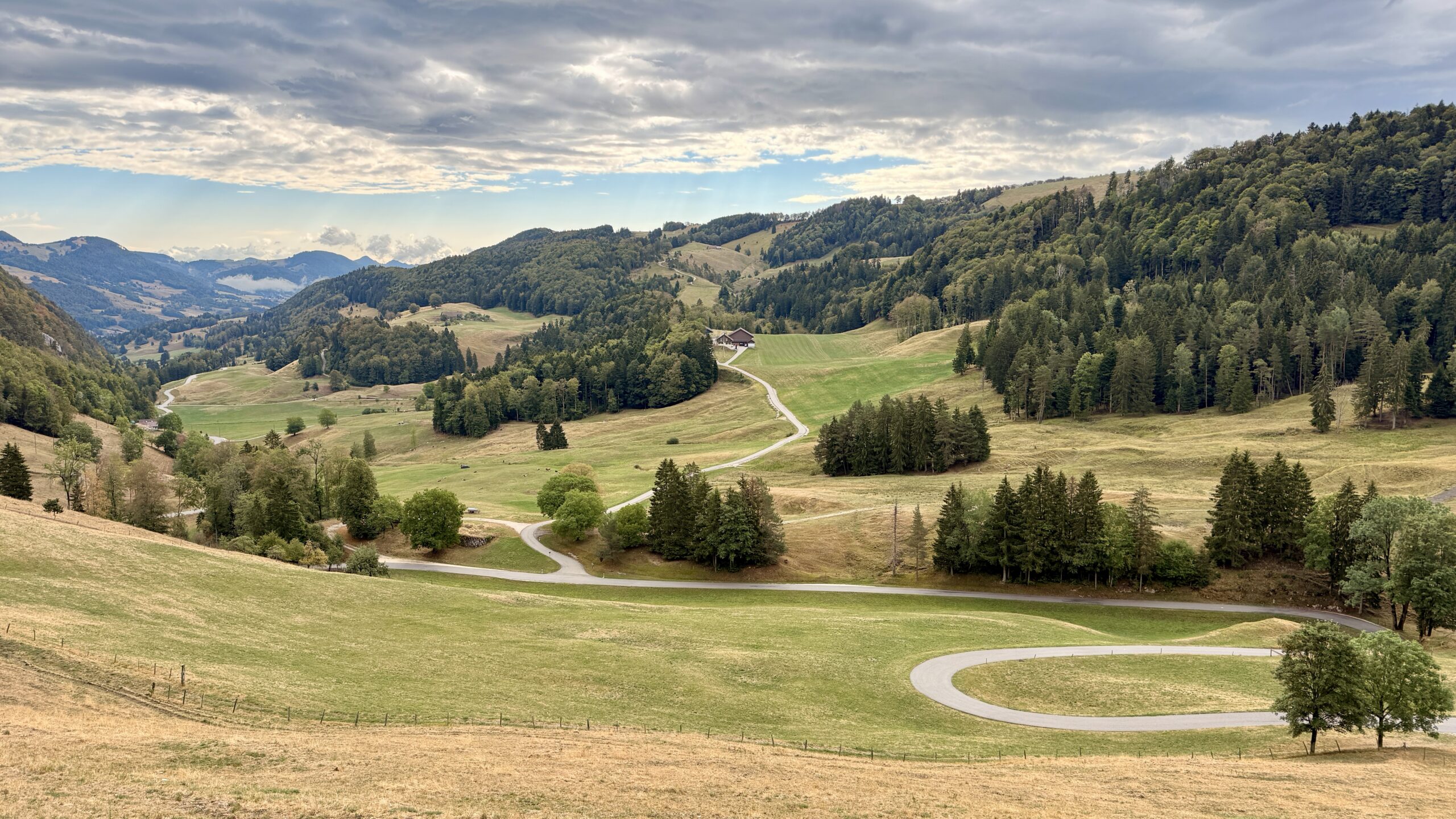 Weiden und Waldränder auf dem Scheltenpass im Jura