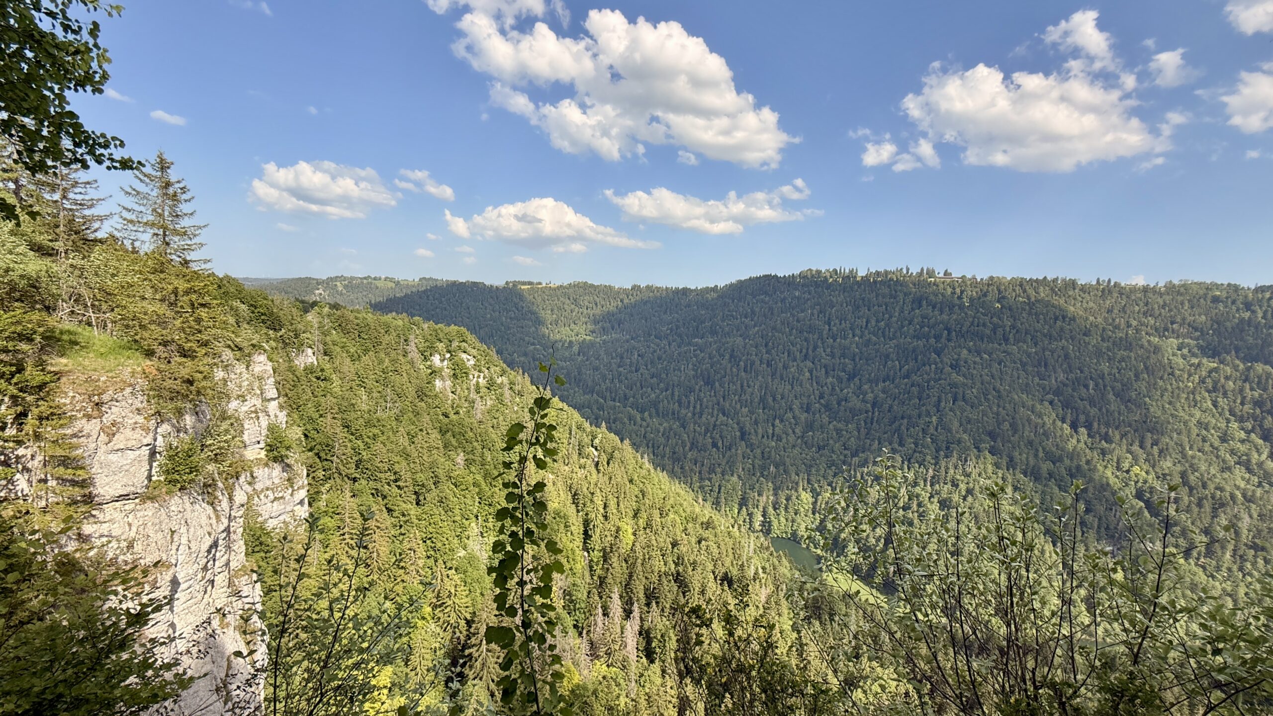 Bewaldete Klus im Jura mit Felswänden und Schlucht