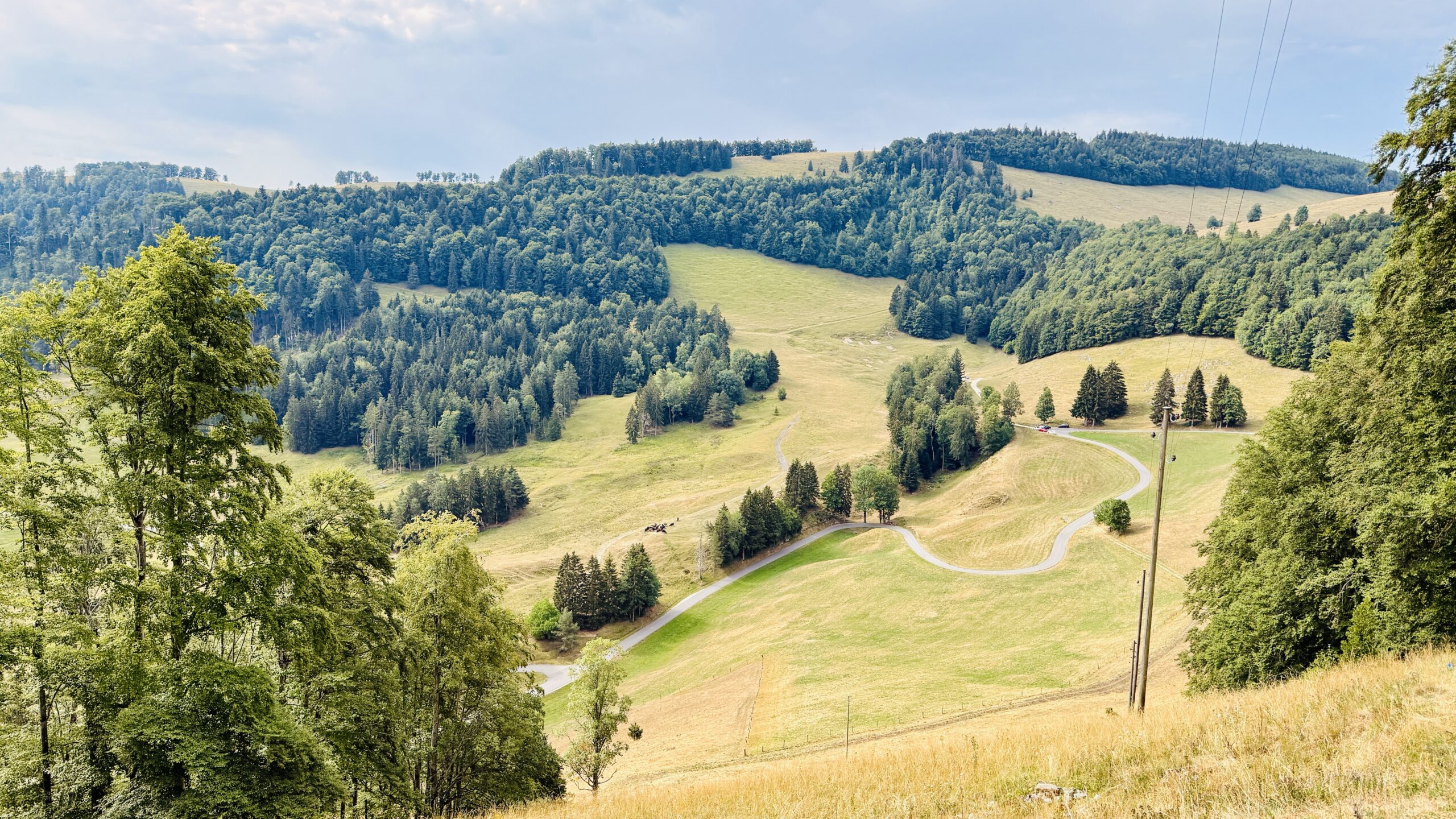 Hügellandschaft mit Weiden am Scheltenpass im Jura